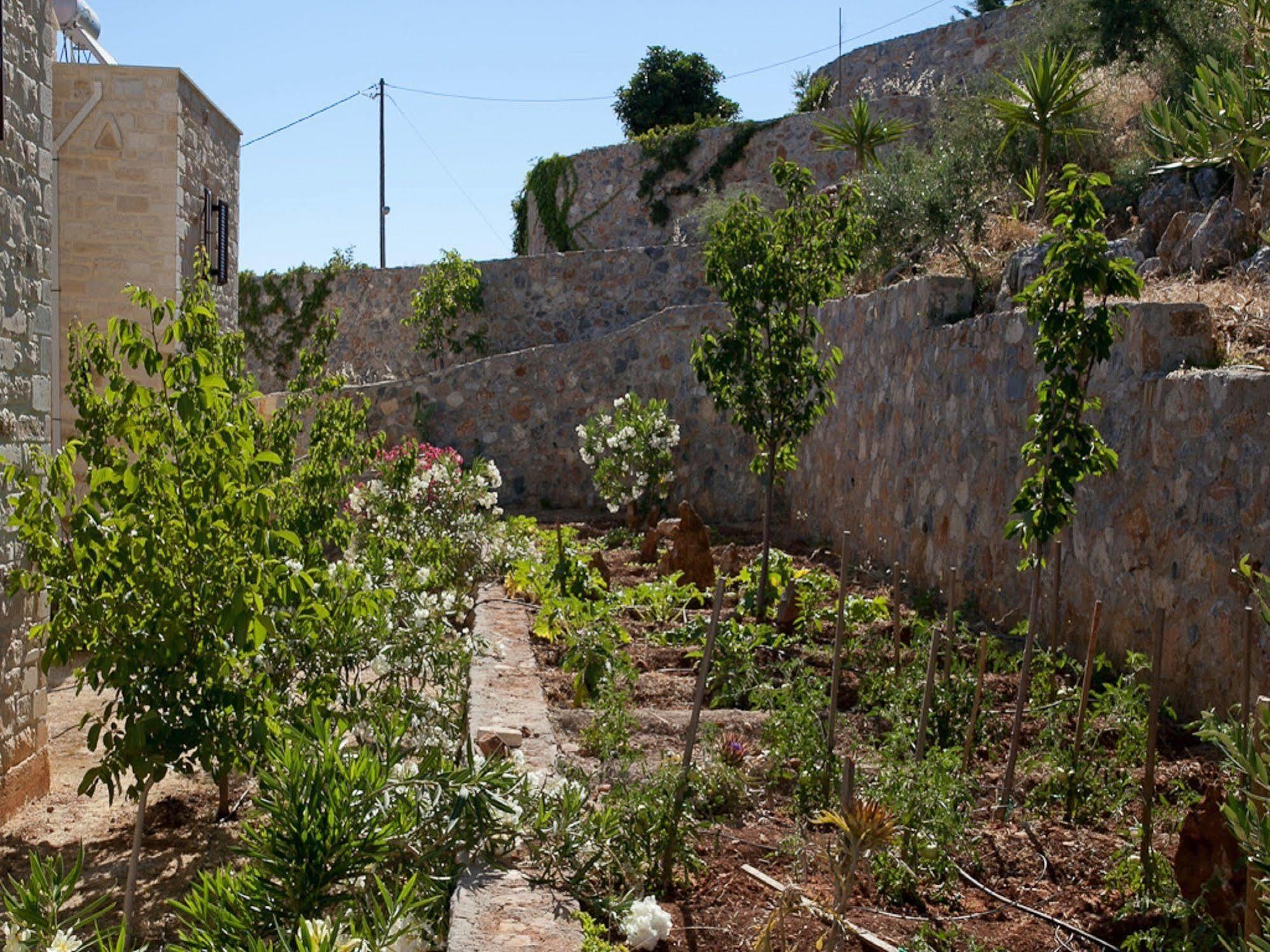 Villa Apollo - Saint George'S Retreat Village Kokkino Chorio ภายนอก รูปภาพ